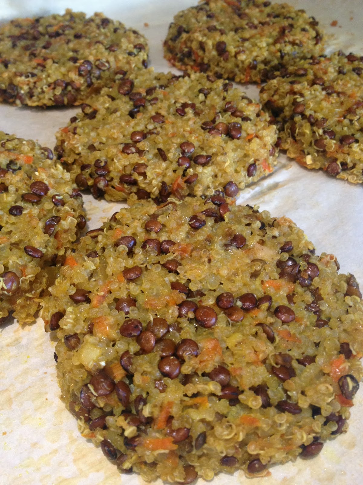 Janine's Real Food Recipes Vegetarian Quinoa Lentil Patties